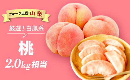 yNi2026N/ߘa8Njs\񁄁z gIh Pn uv 2.0kg  BH-14