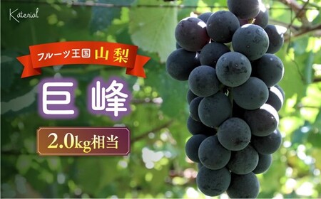 [2026年発送]巨峰 2.0kg相当 [山梨 巨峰 先行予約] 先行 予約 山梨県産 産地直送 フルーツ 果物 ぶどう 新鮮 人気 おすすめ 贈答 ギフト お取り寄せ 山梨県 甲斐市 AD-143