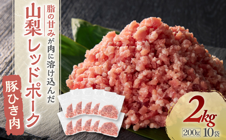 yRbh|[Nz؂Ђ 200g×10 v2kg Ђ  Y  Ⓚ ^ R bs Y-11