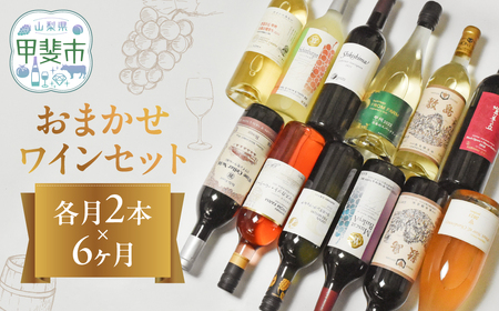 甲斐市産 おまかせワイン各月2本×6か月 計12本定期便 AD-319