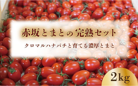 [期間限定(3〜7月)]赤坂とまとの完熟セット