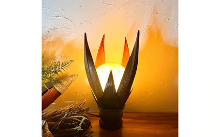 ヤシリーフのムーンランプC(LED電球付き)山梨県 甲斐市