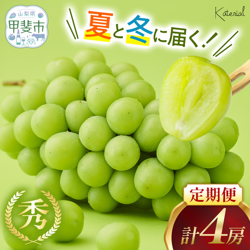 シャインマスカット 夏と冬 定期便 2回 フルーツ 12回 果物 フルーツ 山梨