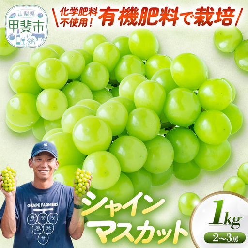 山梨県 甲斐市産 シャインマスカット1kg 山梨シャインマスカット