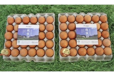黒富士農場の放牧卵たっぷり60個セット