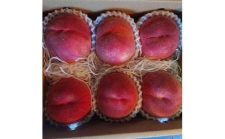 [先行予約2025年/令和7年発送分]桃 2kg 小箱 [山梨 桃 先行予約] 桃桃桃桃桃