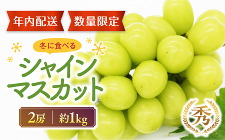 y2025N12z~̃VC}XJbg 2[  RVC}XJbg  AD-227