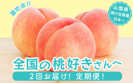 [25年発送先行予約][山梨県産 旬の桃 定期便 2回送り]計4kg以上 2kg以上(5〜8玉)×2 180-007