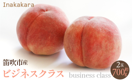 y2026Ns\zyJsYzInakakara@{̓ rWlXNX 2(1ʖ350g) 192-018