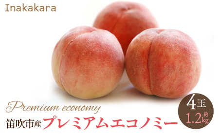 y2026Ns\zyJsYzInakakara@{̓ v~AGRm~[ 4(1ʖ300g) 192-022