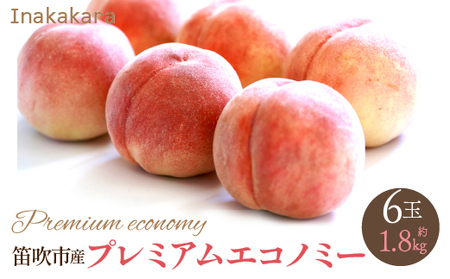 y2026Ns\zyJsYzInakakara@{̓ v~AGRm~[ 6(1ʖ300g) 192-023