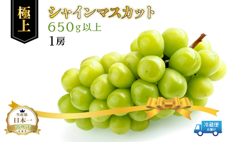 [25年発送先行予約]笛吹市産シャインマスカット(極上)1房 650g以上 210-006