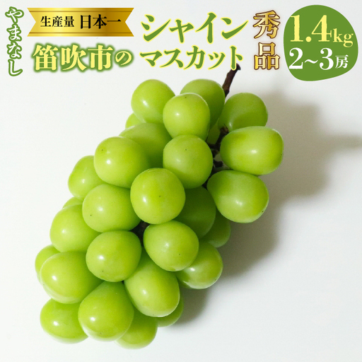 【2026年発送★先行予約】山梨県　笛吹産　シャインマスカット　1.4kg（2～3房）秀品 215-009-26y