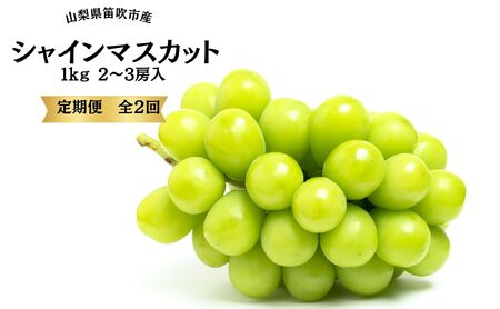 [25年発送先行予約]葡萄の一大産地!笛吹市産シャインマスカット定期便×2回 167-015 ※沖縄・離島配送不可