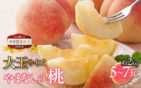 �y2026�N��������s�\��z�R�����J���s�Y�@��ʓ��@��2kg�@5�ʁ`7�ʁ@ 223-001-26y