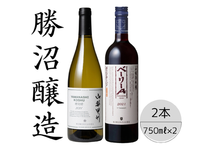 勝沼醸造 山梨甲州樽発酵・ベーリーAヴィンテージ2本セット 167-046