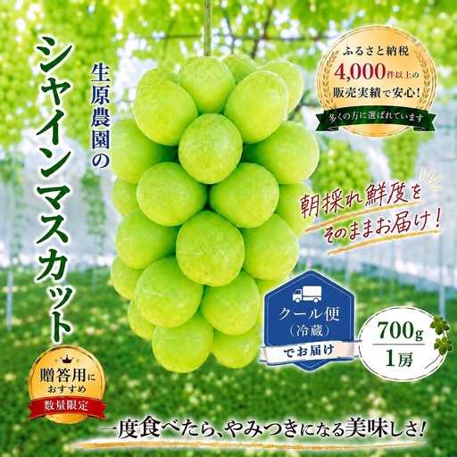 [2026年発送★先行予約]フルーツ王国笛吹市の[プレミアム大房]シャインマスカット1房700g以上 137-002-26y