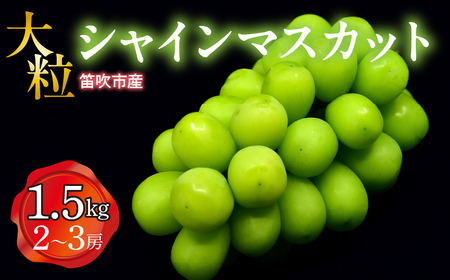 [3日以内スピード配送]笛吹市産 大粒シャインマスカット 1.5kg(2〜3房) 227-003