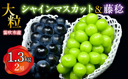 [25年発送先行予約]笛吹市産 大粒シャインマスカット・藤稔セット(2房) 1.3kg 227-006
