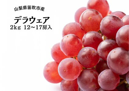 y2026Ns\zJsYfEFA12`17[ 2kg 167-051-26y