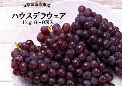 y2026Ns\zJsYnEXfEFA6`9[ 1kg 167-052-26y