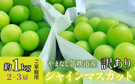 [25年発送先行予約] 山梨県笛吹市産 訳有シャインマスカット 優等品 約1kg 2〜3房 [ご家庭用] 105-025