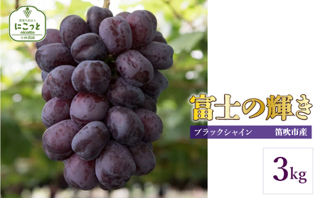 ＜25年発送先行予約＞富士の輝き3キロ 097-018　