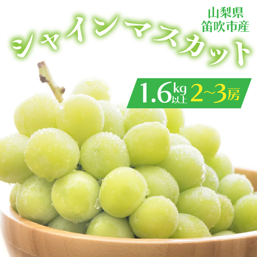 【2026年発送★先行予約】シャインマスカット 2-3房入り 1.6kg以上 1箱　164-005-26y
