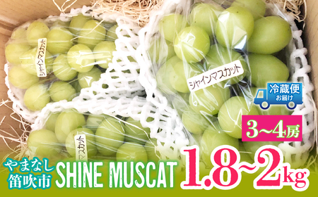 【2026年発送★先行予約】シャインマスカット1.8～2kg（3～4房） 214-003-26y