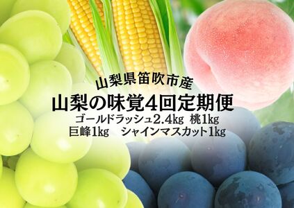 [25年発送先行予約]山梨の味覚定期便 全4回 ゴールドラッシュ 桃 巨峰 シャインマスカット 167-141