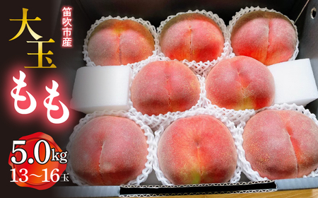 ＜25年発送先行予約＞笛吹市産　大玉もも　5.0kg(13～16玉) 227-010