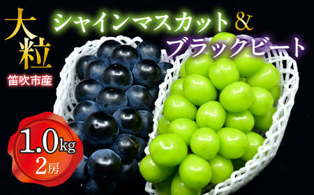 [25年発送先行予約]笛吹市産 大粒シャインマスカット・ブラックビｰトセット(2房) 1.0kg 227-015