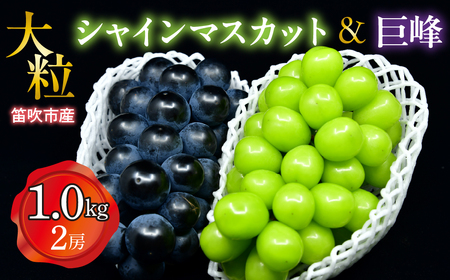 [25年発送先行予約]笛吹市産 大粒シャインマスカット・巨峰セット(2房) 1.0kg 227-016