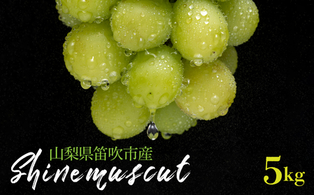 �y2026�N��������s�\��z�V���C���}�X�J�b�g 5kg �R�����J���s�Y 235-005-26y