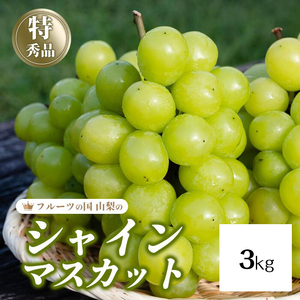 25Ns\񁄃VC}XJbg  3kg 154-008-3kg