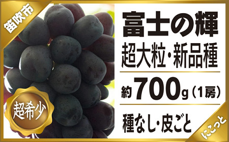 [ふるなび限定][2026年発送★先行予約] 山梨県笛吹市産 富士の輝 〜ブラックシャインマスカット〜1房 約 700g ★ FN-Limited 097-009 097-009-26-navi 