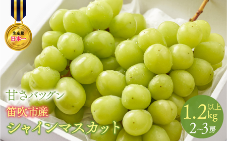 [2026年発送★先行予約]甘さ抜群プリプリ シャインマスカット 2〜3房 1.2kg以上 168-001 168-001-26y | フルーツ おすすめシャインマスカット 大粒シャインマスカット 高評価シャインマスカット