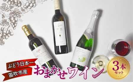 笛吹市産ワインおまかせワイン3本セット 157-047