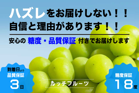 [糖度18度保証付]シャインマスカット 約1.1kg 2〜3房 FN-Limited 104-003-FN 