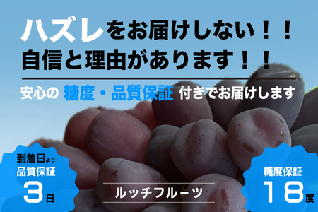 [糖度18度保証付]ブラックシャインマスカット「富士の輝」約750g 1房 FN-Limited 104-018-FN 
