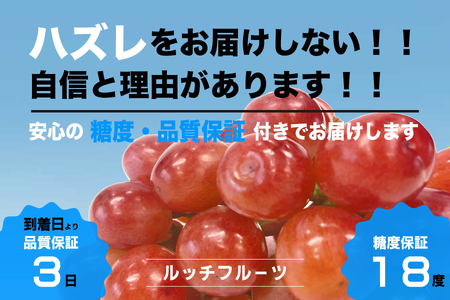 [糖度18度保証付]サンシャインレッド 約1.1kg 2〜3房 FN-Limited 104-019-FN 
