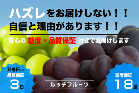[糖度18度保証付]富士の輝・シャインマスカット食べ比べ 合計約2.1kg 2〜5房 FN-Limited 104-020-FN 