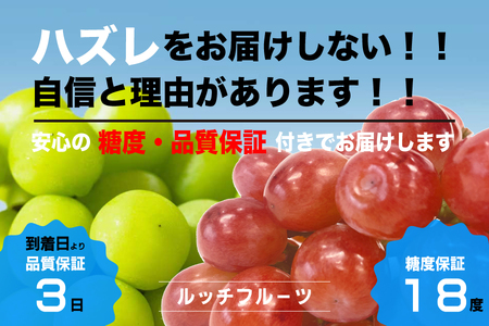 [糖度18度保証付]サンシャインレッド・シャインマスカット食べ比べ 合計約2.1kg 2〜5房 FN-Limited 104-021-FN 