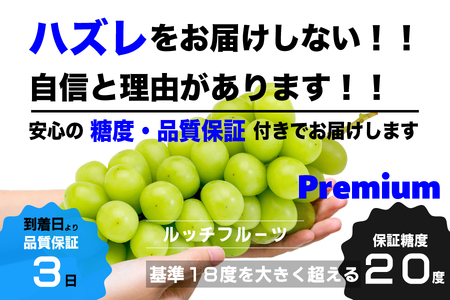 [糖度20度保証付]プレミアム大房シャインマスカット 約750g 1房 FN-Limited 104-043-FN 