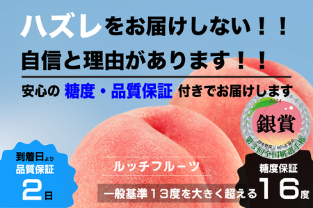 [糖度16度保証付]一宮の大玉桃 3玉 約1.1kg 全国桃選手権『銀賞』受賞桃 FN-Limited 104-067-FN 