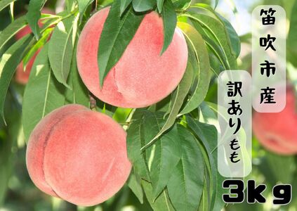 [2026年発送★先行予約]笛吹市産訳あり桃 約3kg 167-026-26y ※東北、関東、信越、中部のみ発送