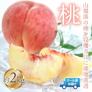 [2026年発送★先行予約]桃 2kg 株式会社華栄牛産 179-004-26y