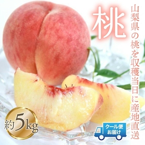 y2026Ns\z 5kg@Љ؉hY 179-006-26y