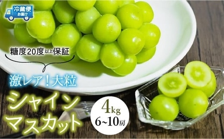 [2026年発送★先行予約]超レア大粒シャインマスカット4.0kg以上(6房から10房)106-005-26y