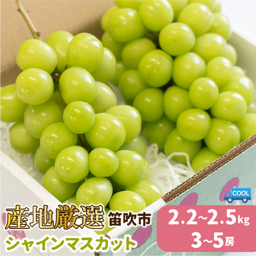 【2026年発送★先行予約】 産地厳選シャインマスカット2.2㎏～2.5kg（3房～5房）106-014-26y